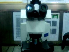金相顯微鏡（1台）